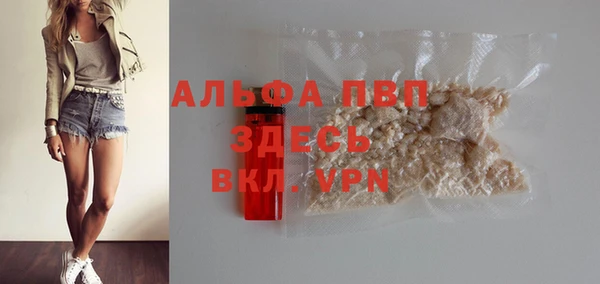 индика Армянск