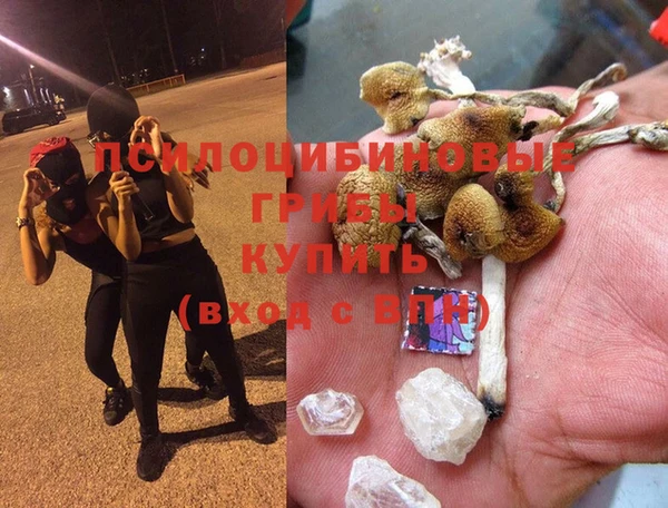 первитин Арсеньев