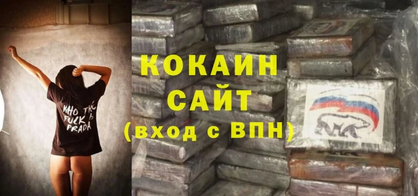 индика Армянск