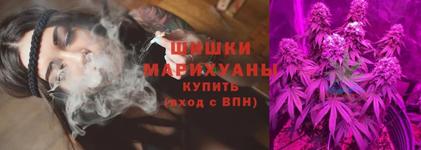 индика Армянск