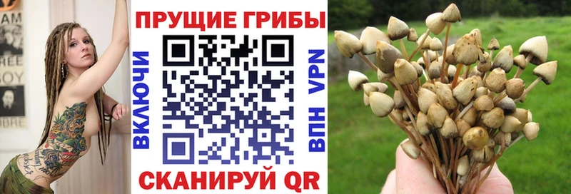 Галлюциногенные грибы мухоморы  Лермонтов 